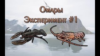 Русская Рыбалка 3.99 (Russian Fishing) Омары. Эксперимент #1