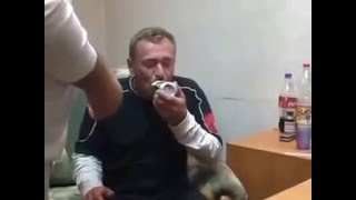 Сальвия