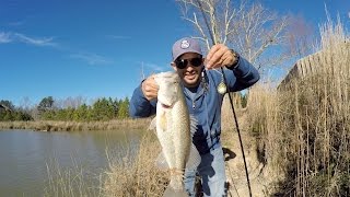 COMO PESCAR BLACK BASS/LOBINAS CON SPINNERBAIT