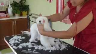 часть1 из 11