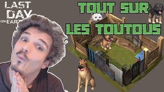 1.7.12 : Tout sur les Toutous ! - LAST DAY ON EARTH