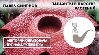 Павел Смирнов - Паразиты в царстве растений
