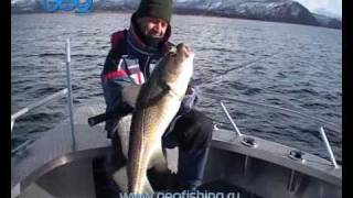 Морская рыбалка в Норвегии!