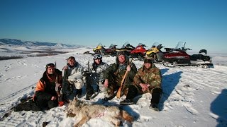 Южный Урал. Охота на волков на снегоходах.