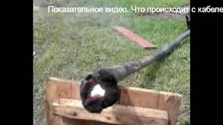 Показательное видео. Что будет с силовым кабелем и повреждением при его прожиге. до 1000 вольт.