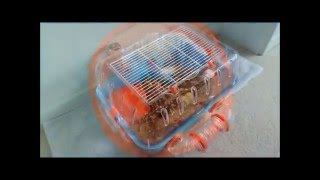 Клетка для хомяков Ferplast COMBI  Для Грызунов