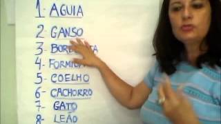 SUA MISSÃO DE VIDA através da Numerologia