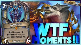 Hearthstone - WITCHWOOD WTF Moments - Daily Funny Rng Moments