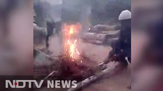 Video of boys burning puppies alive in Hyderabad sparks outrage