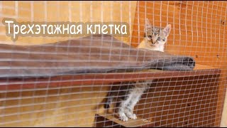 Делаем клетку кошке и котятам