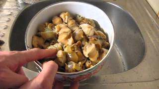 Как приготовить мясо рапана. Готовим морепродукты.