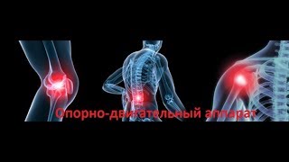 Опорно-двигательный аппарат. Лечение подагрических, ревматоидных и инфекционных артритов