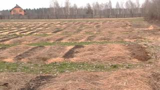 (11)Начало огородного СЕЗОНА.