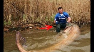 Это была последняя рыбалка для него! Вскрыв рыбу, побелел от увиденного