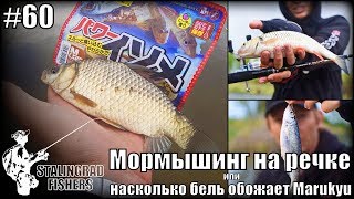 Мормышинг на микроречке или насколько бель обожает Marukyu