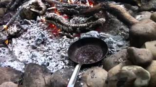Campfire cooking peppercorn sauce