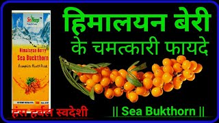HANS HERBALS SWADESHI || BENEFITS OF HIMALAYAN BERRY JUICE || Sea Buckthorn || हिमालयन बेरी जूस ||