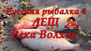 Русская рыбалка 4 Лещ Волхов