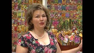 Чем розы Кордес отличаются от остальных?