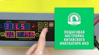 Настройка китайского инкубатора HHD на 48 яиц из AliExpress