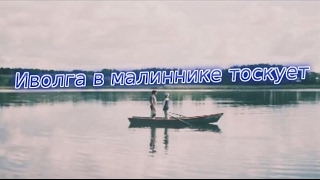 Иволга в малиннике тоскует ?