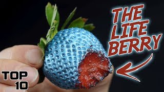 Top 10 Foods That Will Make You Immortal