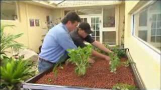 Garden Gurus guide to Aquaponics WA