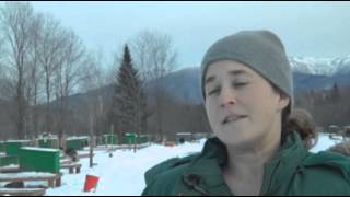 Blind Sled Dog Thrives With Brother's Help