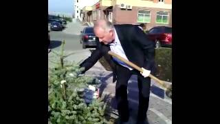 Посади свое дерево! Фрязино