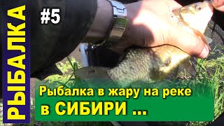 Рыбалка в Сибири в тайге на реке в самую жару. Поплавочная удочка. Чебак, елец, карась, пескарь.