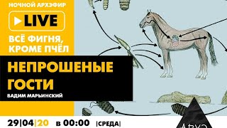 Ночной АРХЭфир «Все фигня, кроме пчел». «Непрошеные гости»