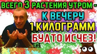 ВСЕГО 3 РАСТЕНИЯ УТРОМ - К ВЕЧЕРУ 1 КГ БУДТО ИСЧЕЗ! Островский Похудеть, набрать вес, обмен веществ