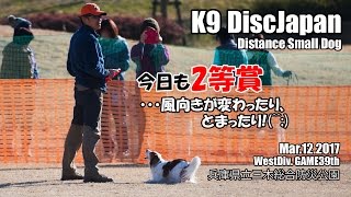 kooikerhondjeテラ K9DJ DS参戦記＠三木(２日目) Mar12'2017
