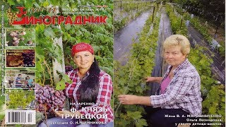 Мой Виноградник  № 10 Октябрь 2017г
