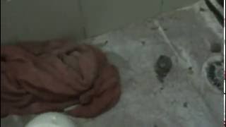 1a Parte - Trocar Válvula Descarga Hidra por Caixa Acoplada
