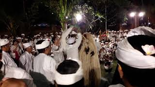 Mepajar KERAUHAN MASSAL! SANUR