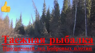 Рыбалка в тайге. Хариус, Осень, Сибирь, Выживание в тайге, Уаз, Нива, бобер