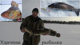 СУПЕР РЫБАЛКА ЗИМОЙ НА ГЛУХОМ ОЗЕРЕ / SUPER FISHING IN THE WINTER ON A REMOTE LAKE