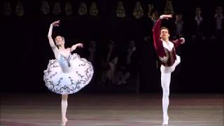 Don Quixote 3 act - Elena Yevseyeva, Vladimir Shklyarov 28.03.2019