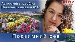 Подзимний сев
