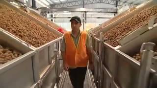 Орехи оптом.  Сухофрукты и еще 250 наименований. Доставка по РФ