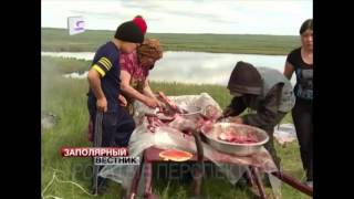 Китайские бизнесмены в ненецкой тундре