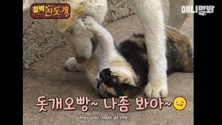 초롱아 미안한데 오빤 강아지상 좋아함^^