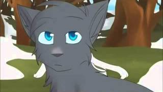 Warrior cats AMV Snowfur and Bluestar
