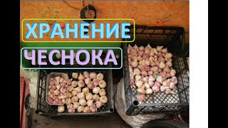 ЧЕСНОК как мы ХРАНИМ до самой посадки