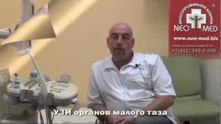УЗИ органов малого таза