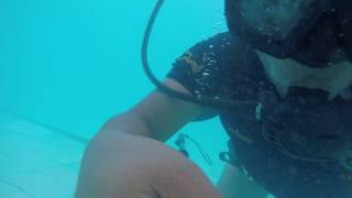 Curso de Buceo Deportivo 5