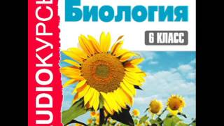2000243 Glava 13 Аудиокнига. "6 класс. Биология" Выделение