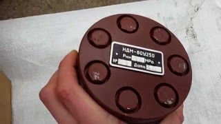 Насос-дозатор НДМ-80-У250