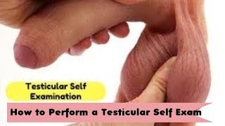 Testicular Cancer Exam   How to Perform a Testicular Self Exam